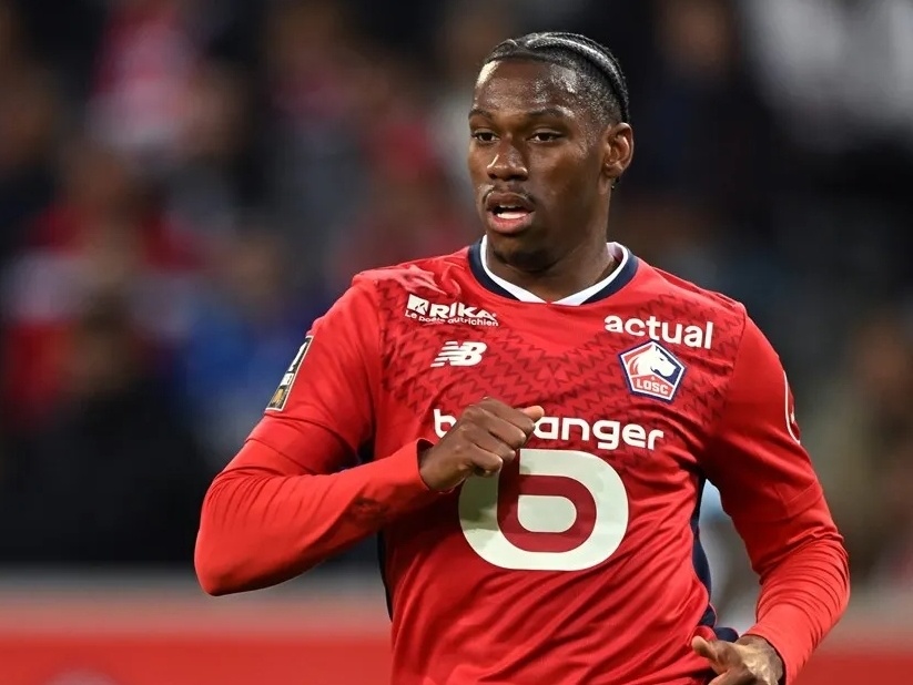 起到了关键 起到了关键